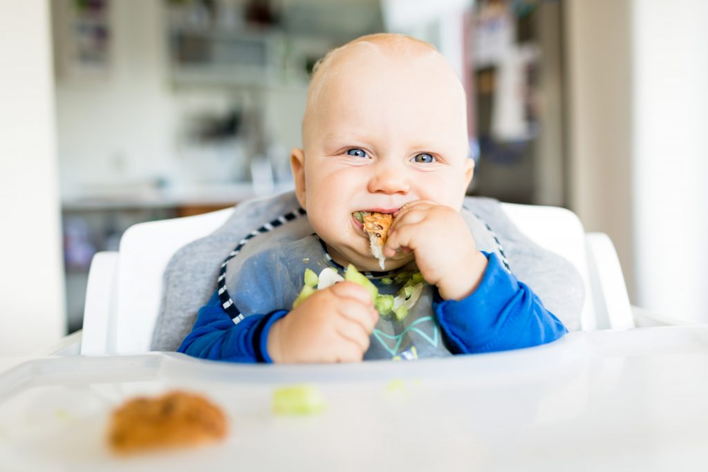 Material recomendado baby-led weaning